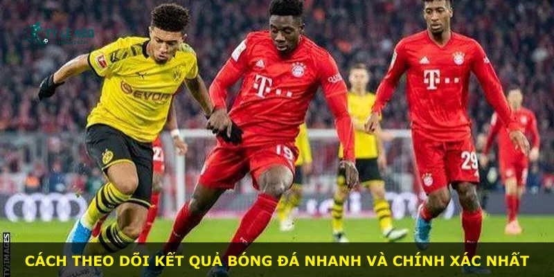 Cách theo dõi kết quả bóng đá nhanh và chính xác nhất