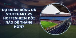 dự đoán bóng đá Stuttgart vs Hoffenheim