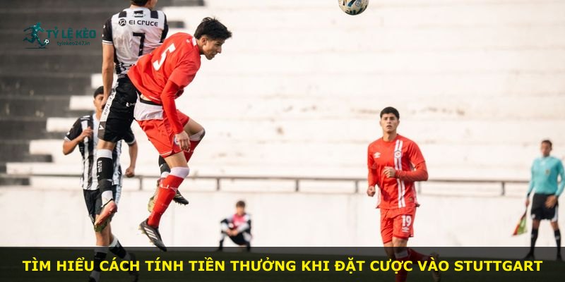 Tìm hiểu cách tính tiền thưởng khi đặt cược vào Stuttgart