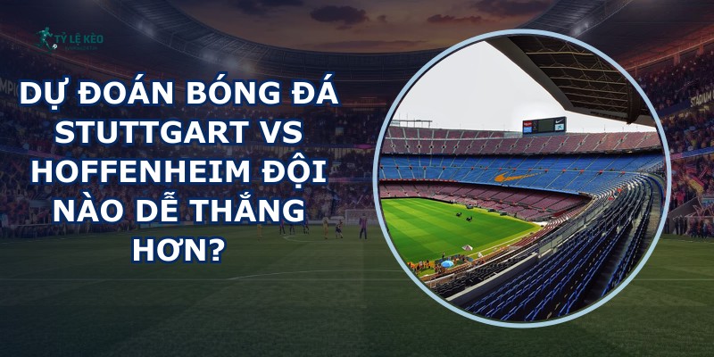 dự đoán bóng đá Stuttgart vs Hoffenheim