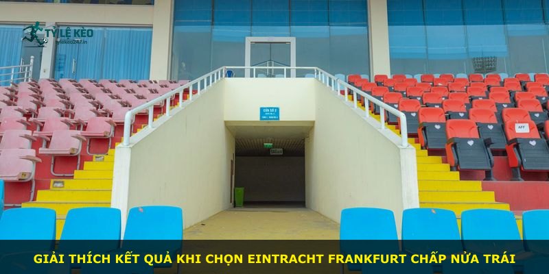 Giải thích kết quả khi chọn Eintracht Frankfurt chấp nửa trái