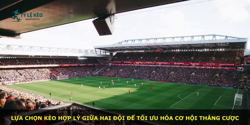 Lựa chọn kèo hợp lý giữa hai đội để tối ưu hóa cơ hội thắng cược