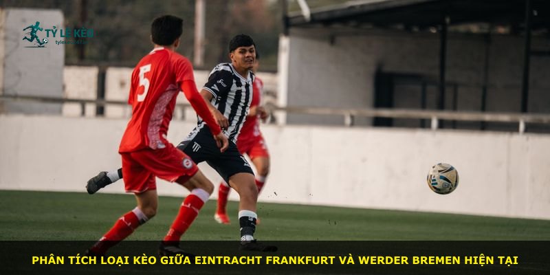 Phân tích loại kèo giữa Eintracht Frankfurt và Werder Bremen hiện tại