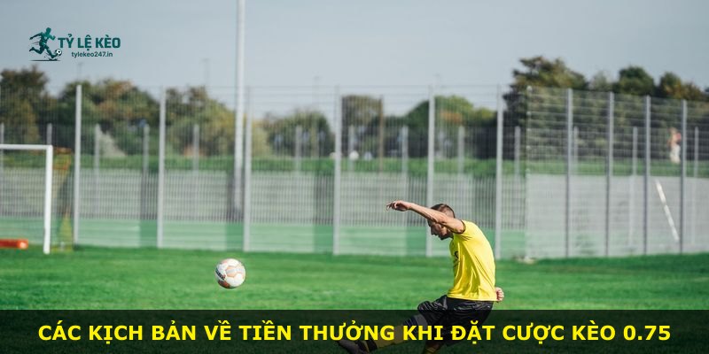 Các kịch bản về tiền thưởng khi đặt cược kèo 0.75