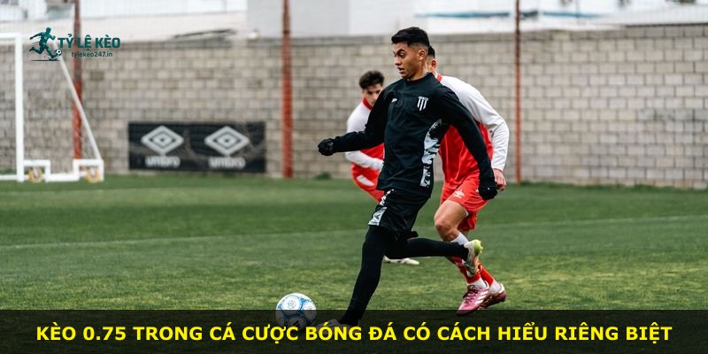 Kèo 0.75 trong cá cược bóng đá có cách hiểu riêng biệt