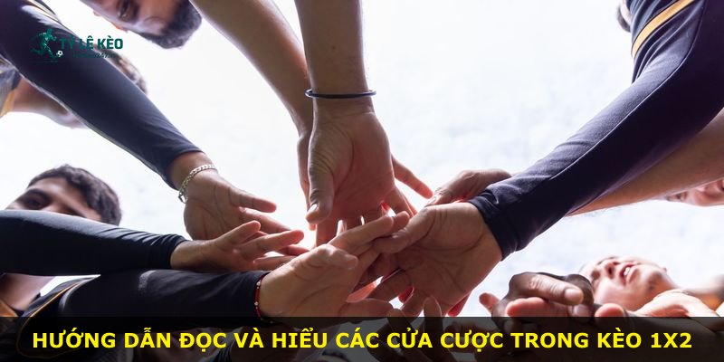 Hướng dẫn đọc và hiểu các cửa cược trong kèo 1x2