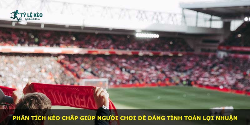Phân tích kèo chấp giúp người chơi dễ dàng tính toán lợi nhuận