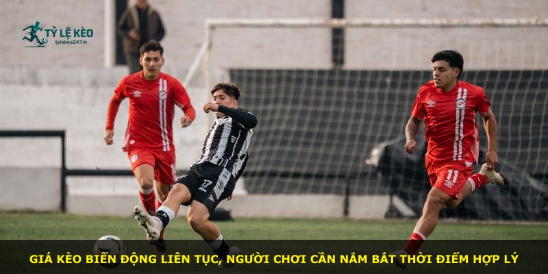 Giá kèo biến động liên tục, người chơi cần nắm bắt thời điểm hợp lý