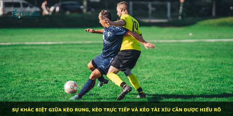 Sự khác biệt giữa kèo rung, kèo trực tiếp và kèo tài xỉu cần được hiểu rõ