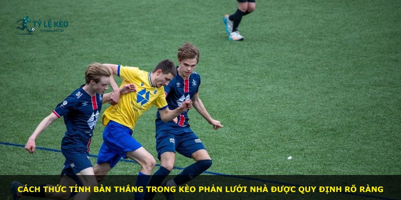 Cách thức tính bàn thắng trong kèo phản lưới nhà được quy định rõ ràng