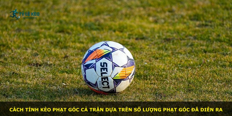 Cách tính kèo phạt góc cả trận dựa trên số lượng phạt góc đã diễn ra