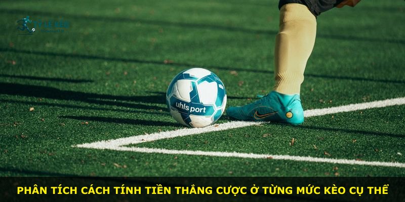 Phân tích cách tính tiền thắng cược ở từng mức kèo cụ thể