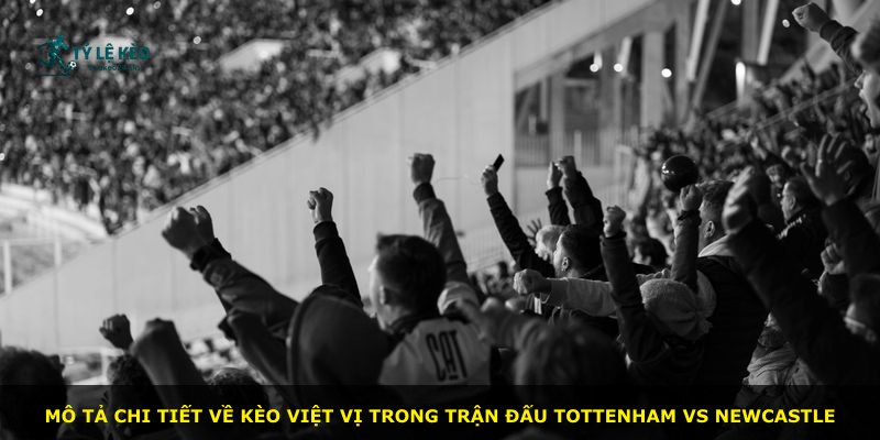 Mô tả chi tiết về kèo Việt Vị trong trận đấu Tottenham vs Newcastle