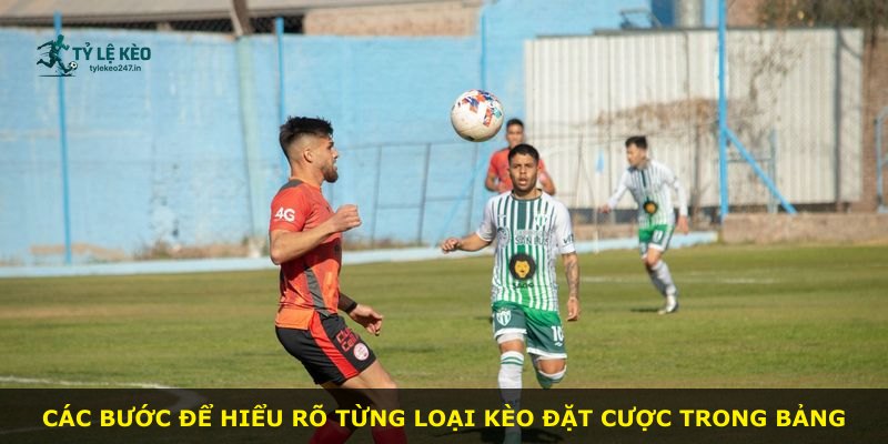 Các bước để hiểu rõ từng loại kèo đặt cược trong bảng