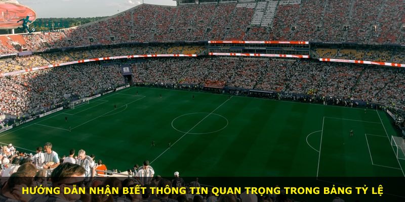 Hướng dẫn nhận biết thông tin quan trọng trong bảng tỷ lệ