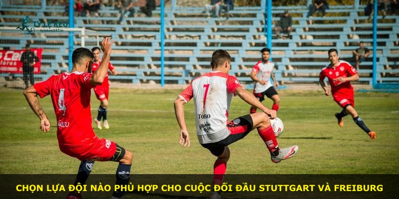 Chọn lựa đội nào phù hợp cho cuộc đối đầu Stuttgart và Freiburg
