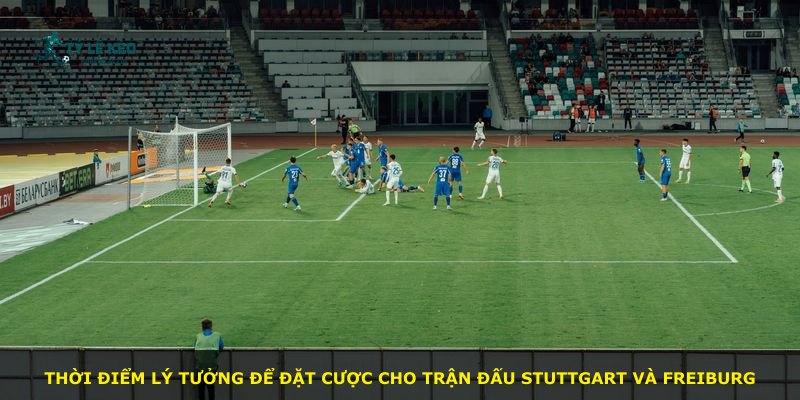 Thời điểm lý tưởng để đặt cược cho trận đấu Stuttgart và Freiburg