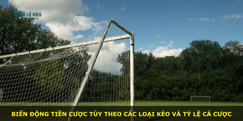 Biến động tiền cược tùy theo các loại kèo và tỷ lệ cá cược