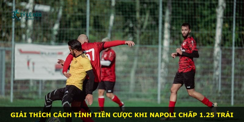 Giải thích cách tính tiền cược khi Napoli chấp 1.25 trái