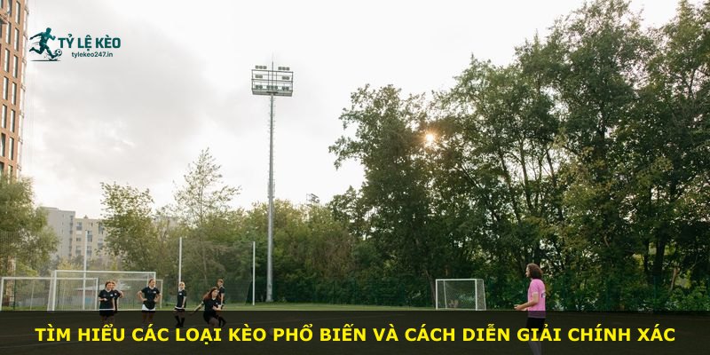 Tìm hiểu các loại kèo phổ biến và cách diễn giải chính xác