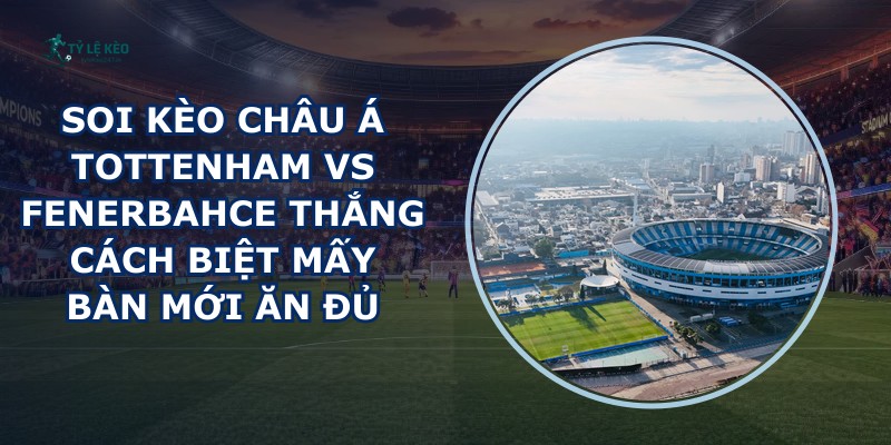 soi kèo châu Á Tottenham vs Fenerbahce