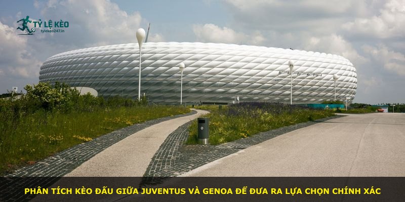 Phân tích kèo đấu giữa Juventus và Genoa để đưa ra lựa chọn chính xác