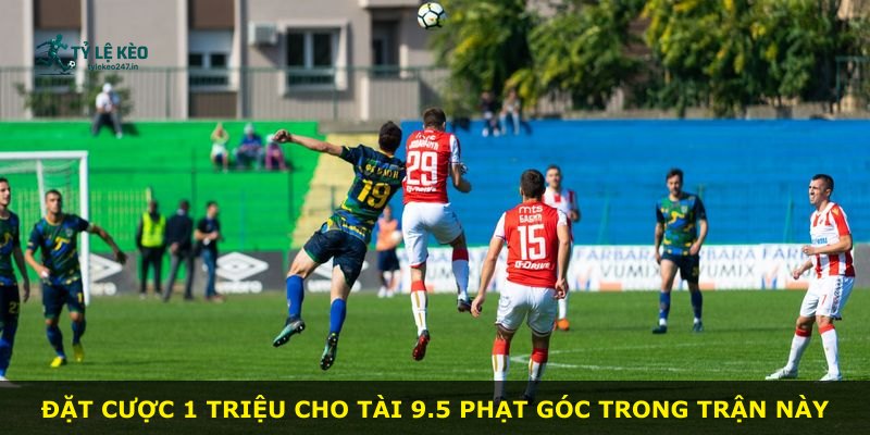Đặt cược 1 triệu cho tài 9.5 phạt góc trong trận này