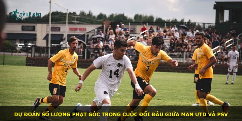 Dự đoán số lượng phạt góc trong cuộc đối đầu giữa Man Utd và PSV