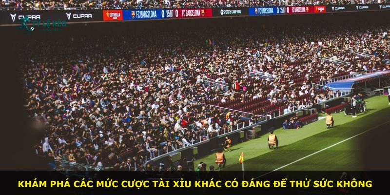 Khám phá các mức cược tài xỉu khác có đáng để thử sức không