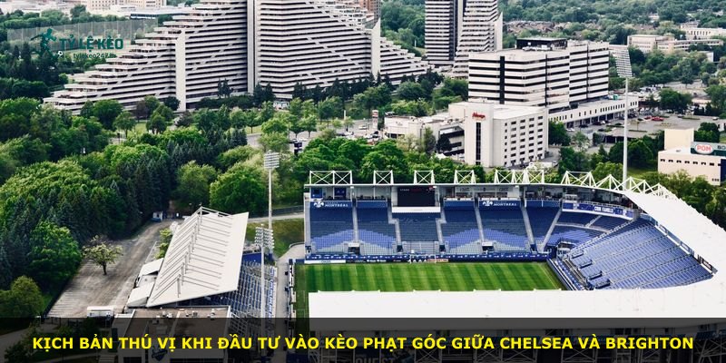 Kịch bản thú vị khi đầu tư vào kèo phạt góc giữa Chelsea và Brighton