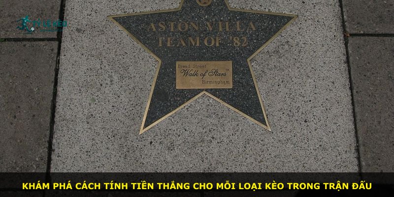 Khám phá cách tính tiền thắng cho mỗi loại kèo trong trận đấu