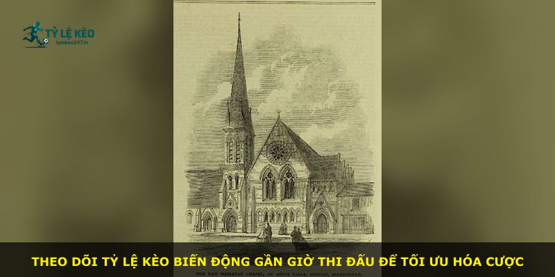 Theo dõi tỷ lệ kèo biến động gần giờ thi đấu để tối ưu hóa cược