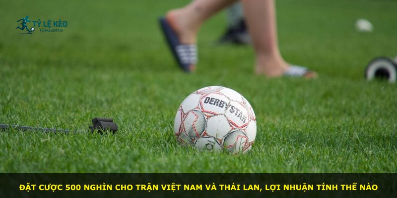 Đặt cược 500 nghìn cho trận Việt Nam và Thái Lan, lợi nhuận tính thế nào