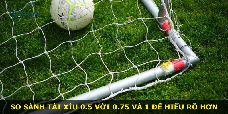 So sánh Tài Xỉu 0.5 với 0.75 và 1 để hiểu rõ hơn