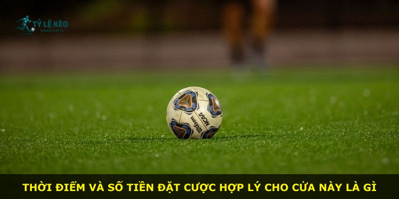 Thời điểm và số tiền đặt cược hợp lý cho cửa này là gì