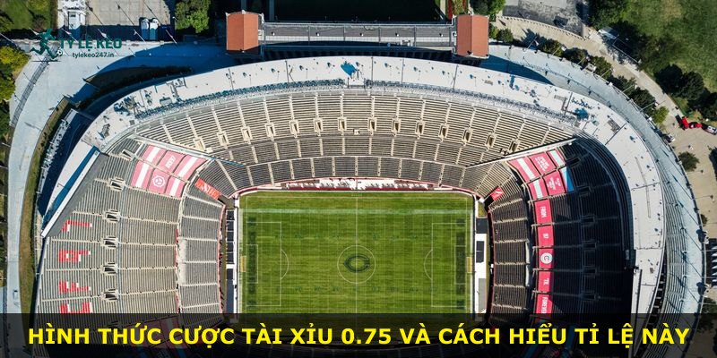 Hình thức cược Tài Xỉu 0.75 và cách hiểu tỉ lệ này