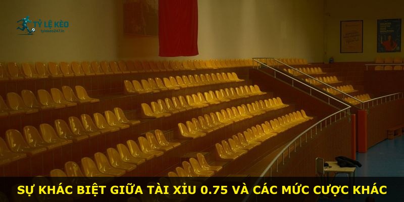 Sự khác biệt giữa Tài Xỉu 0.75 và các mức cược khác