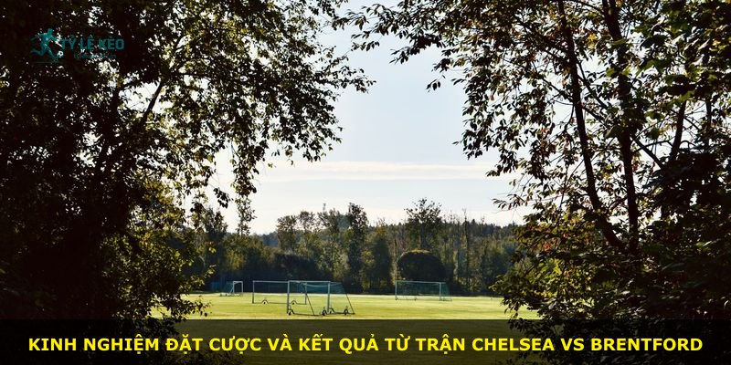 Kinh nghiệm đặt cược và kết quả từ trận Chelsea vs Brentford