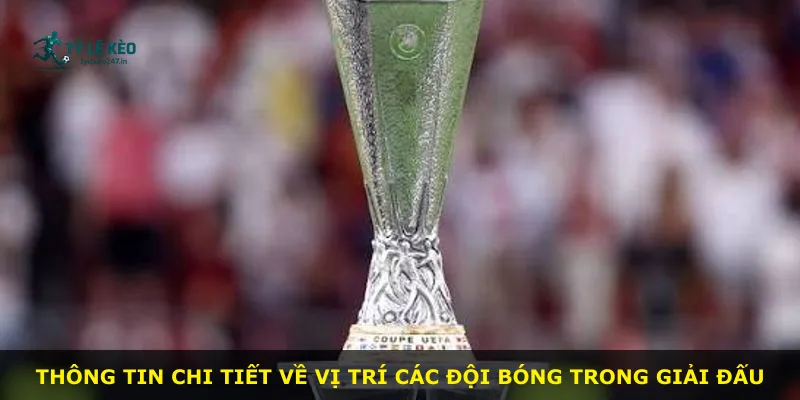 Thông tin chi tiết về vị trí các đội bóng trong giải đấu