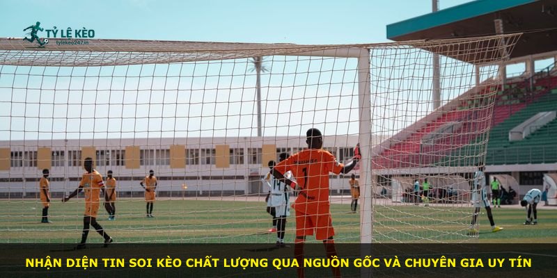 Nhận diện tin soi kèo chất lượng qua nguồn gốc và chuyên gia uy tín
