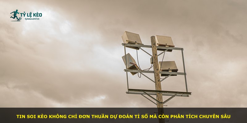 Tin soi kèo không chỉ đơn thuần dự đoán tỉ số mà còn phân tích chuyên sâu