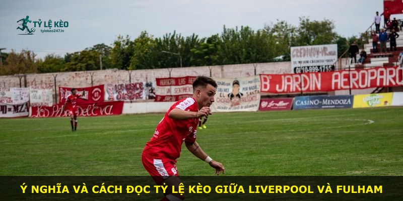 Ý nghĩa và cách đọc tỷ lệ kèo giữa Liverpool và Fulham