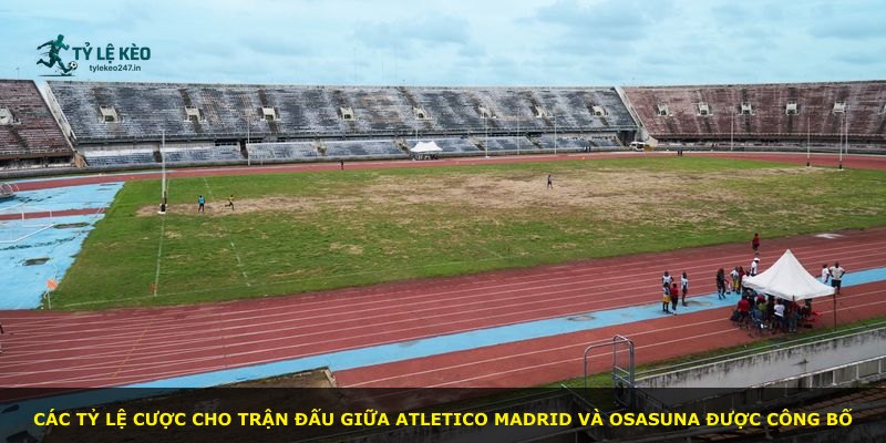 Các tỷ lệ cược cho trận đấu giữa Atletico Madrid và Osasuna được công bố